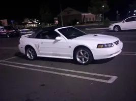 1st stang.webp
