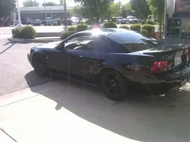 mustang.webp
