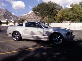 stang4.webp