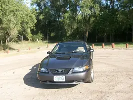 100_0495.webp