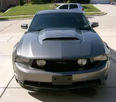 mustang004.webp