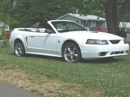 Wes's Mustang.webp