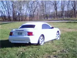 Stang4.webp