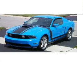 My Stang2.webp