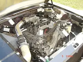 mustang project 00439.webp