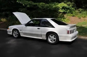 mustang side.webp