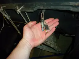 DSCN0950.webp