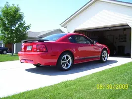 100_0950.webp