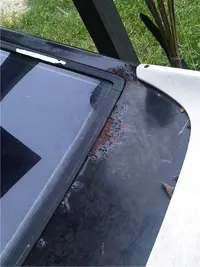 hatch again.webp