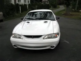 Cobra_1.webp