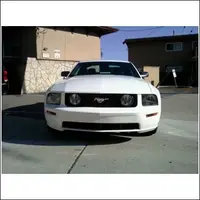 mystang 2.webp