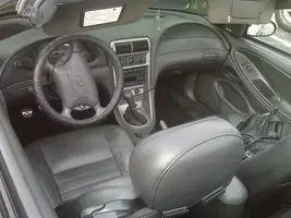 mystang4.webp