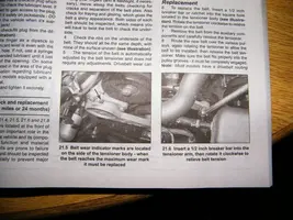 Hayes Manual.webp