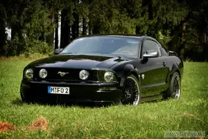Mein Mustang 006.webp