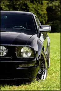 Mein_Mustang_010.webp