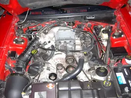 DSCF0464.webp