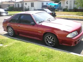 stang.webp