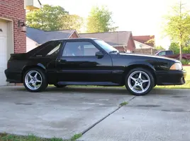 my mustangs 027.webp