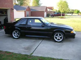 my mustangs 013.webp
