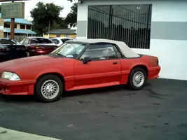 Mustang 001.webp