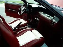 Mustang 011.webp