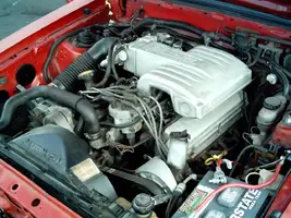 Mustang 008.webp