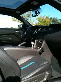 stang-3d.webp