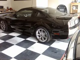 Saleen Pic.webp