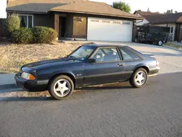stang2.webp