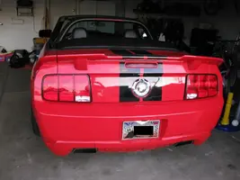 Mustang8.webp