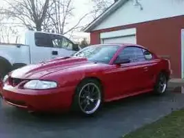stang_1.webp