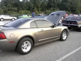 cobra at pinks.webp