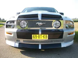 100_2937.webp