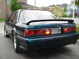 DSC01263.webp