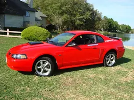 Side View.webp