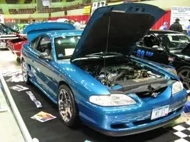 Mustang.webp
