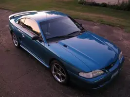 mustang1.webp