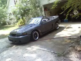 stang1.webp