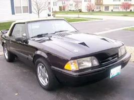 Updated Stang Pic 002.webp