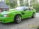 11438_1059954594878_1706326289_117991_7910234_s 32323.webp