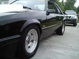 MUSTANG2.webp