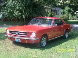 mustang1.webp