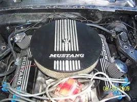 mustang3.webp