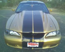 Picture 017.webp