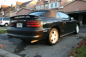 IMG_0120 (Large).webp