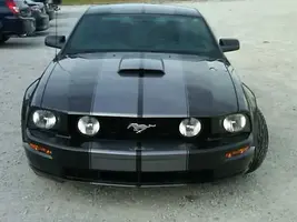 IMG00028-20091113-1552.webp
