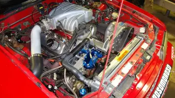 stang7.webp