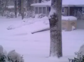 09snow2-2.webp