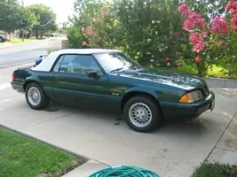 mustang5.webp
