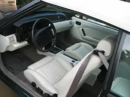 mustang3.webp